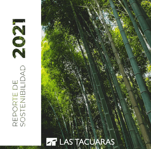 Vista previa de Reporte de Sostenibilidad 2020