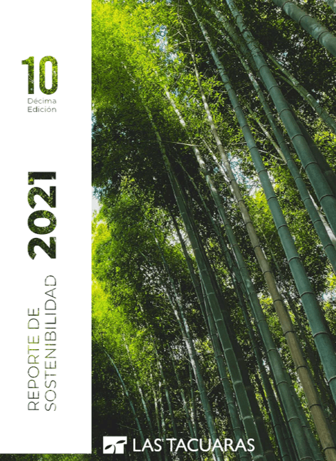Vista previa de Reporte de Sostenibilidad 2021